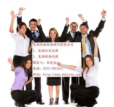 蕪湖企業財稅服務指南 代理記賬與財務代理詳解